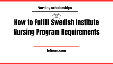 Swedish Institute Nursing Program Requirements