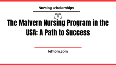 The Malvern Nursing Program in the USA